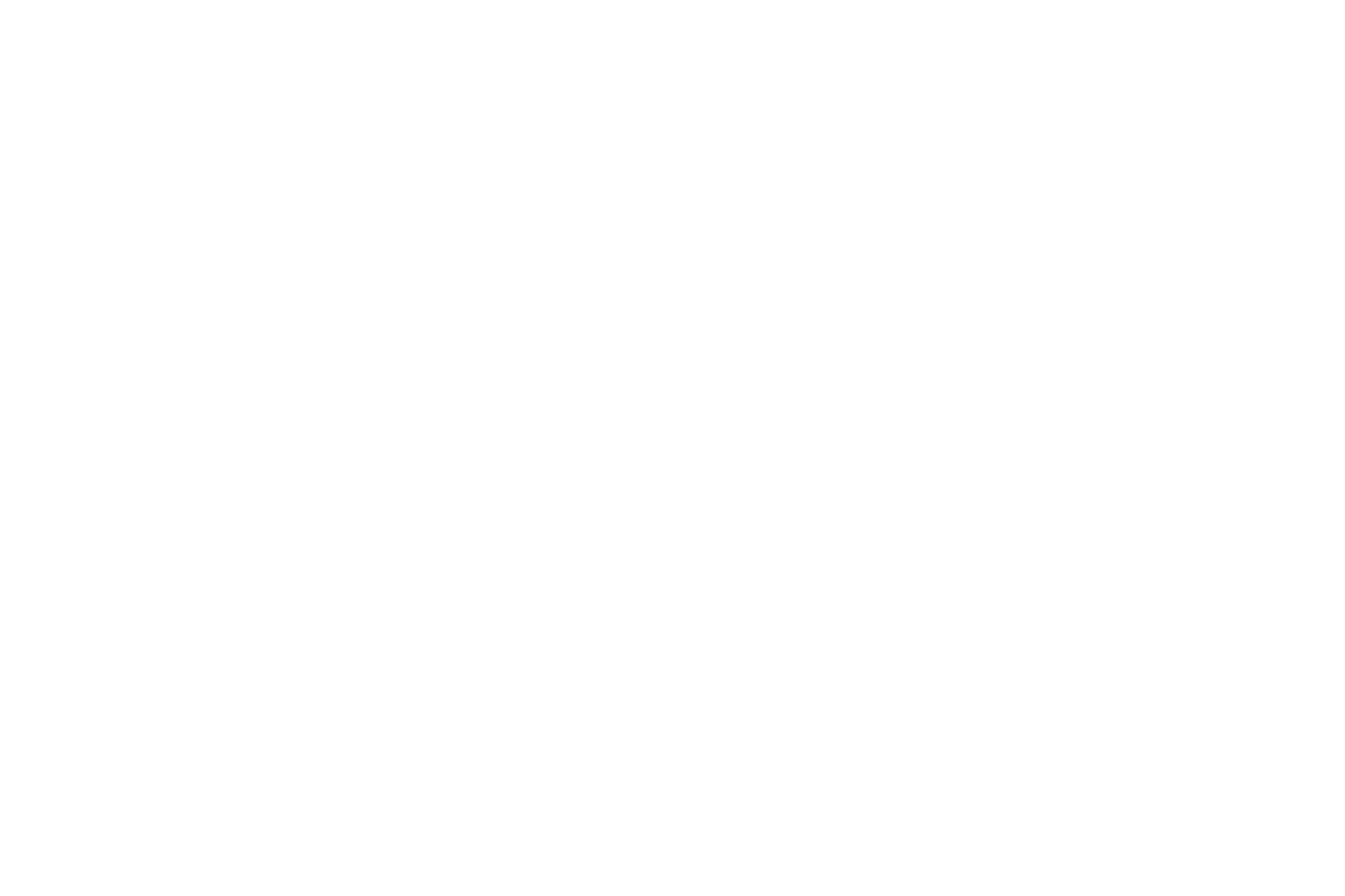 Logo — White